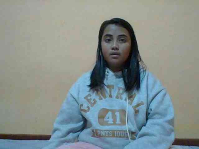 SunsetMonica webcam