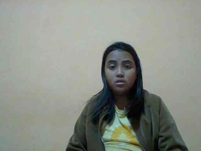 SunsetMonica webcam