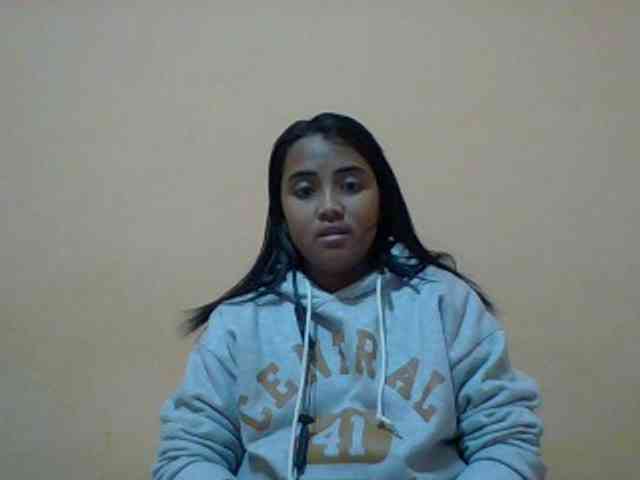 SunsetMonica webcam