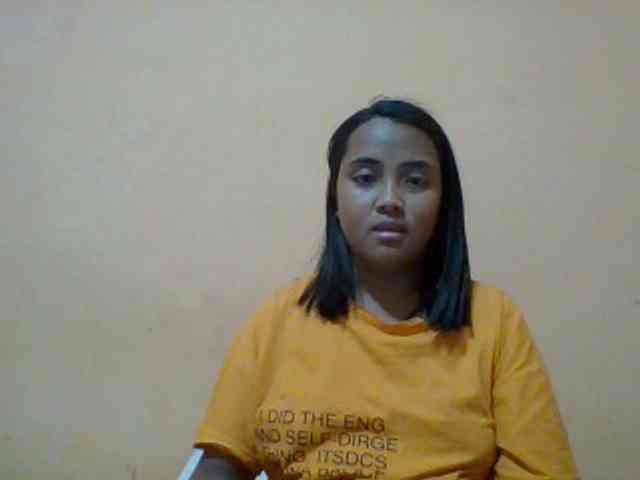 SunsetMonica webcam