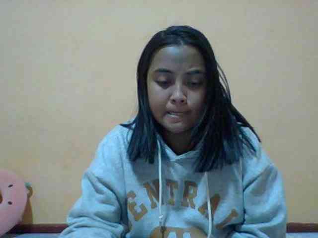 SunsetMonica webcam
