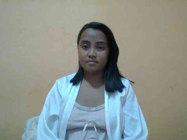 SunsetMonica webcam