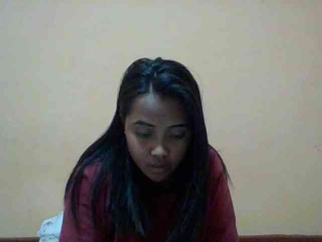 SunsetMonica webcam