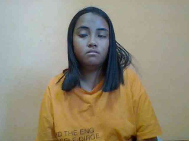 SunsetMonica webcam