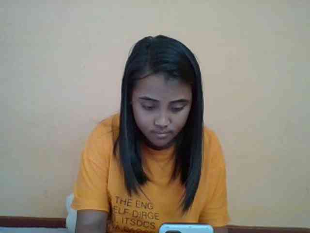 SunsetMonica webcam