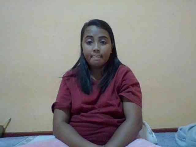 SunsetMonica webcam