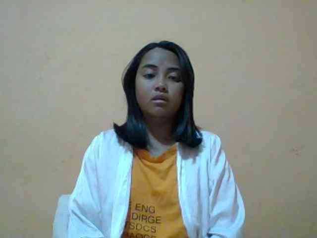 SunsetMonica webcam