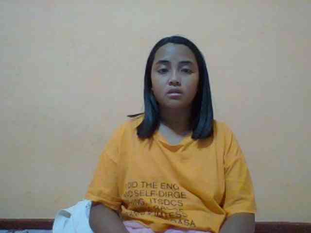 SunsetMonica webcam
