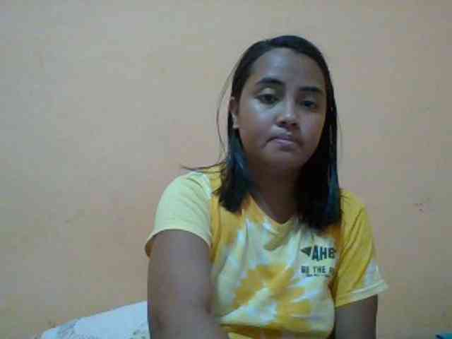 SunsetMonica webcam