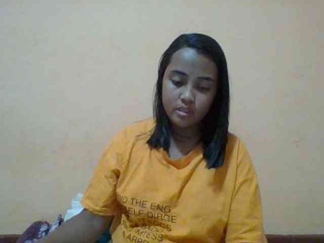 SunsetMonica webcam