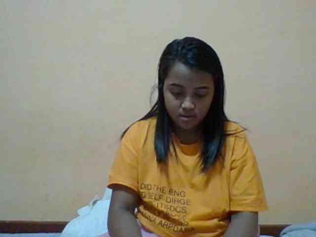 SunsetMonica webcam