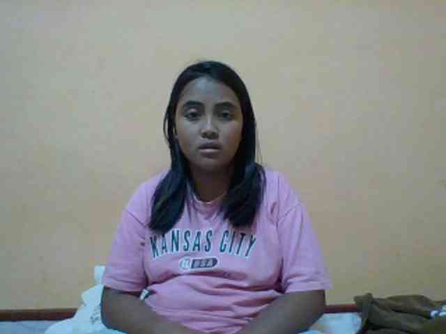 SunsetMonica webcam