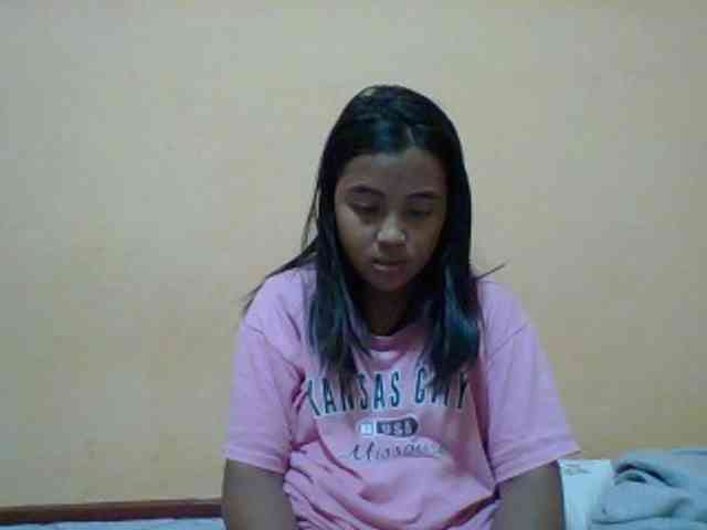 SunsetMonica webcam