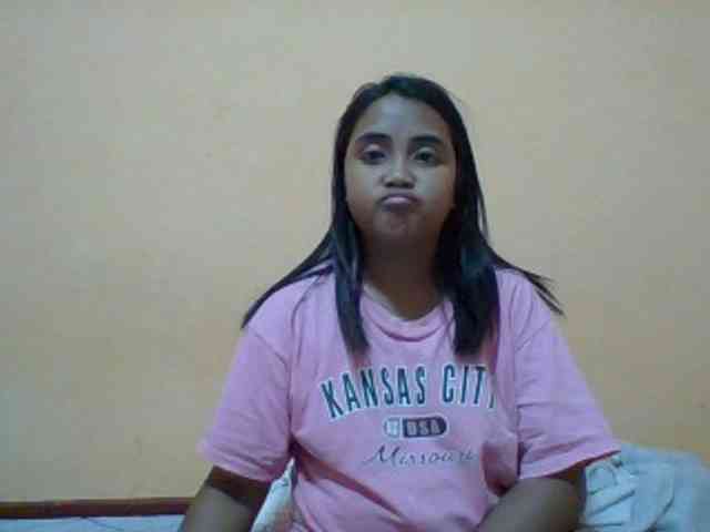 SunsetMonica webcam