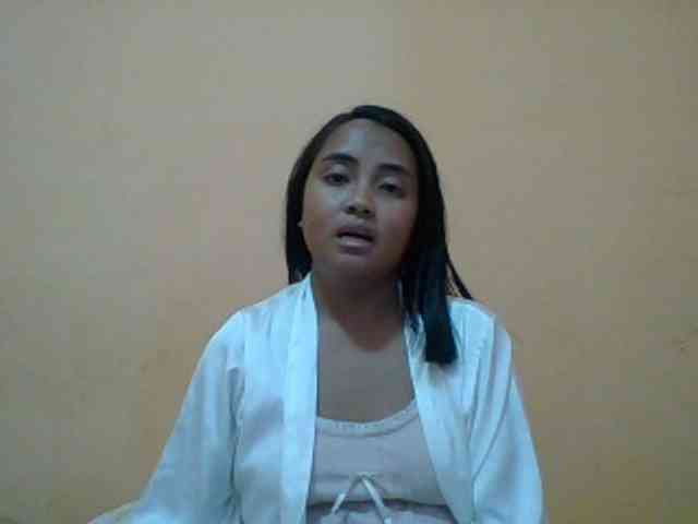 SunsetMonica webcam