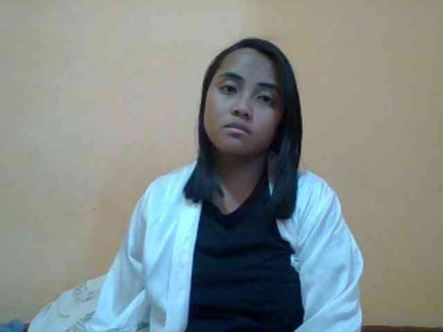 SunsetMonica webcam