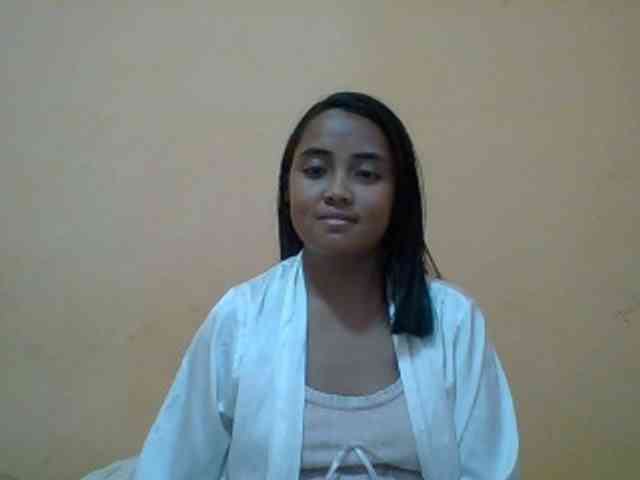 SunsetMonica webcam