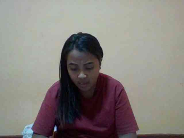 SunsetMonica webcam