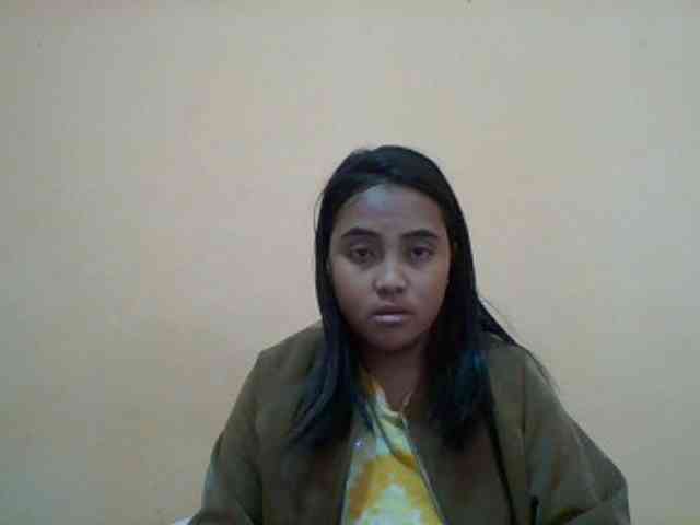 SunsetMonica webcam