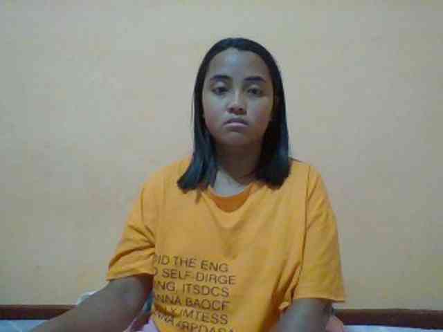 SunsetMonica webcam