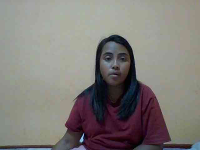 SunsetMonica webcam
