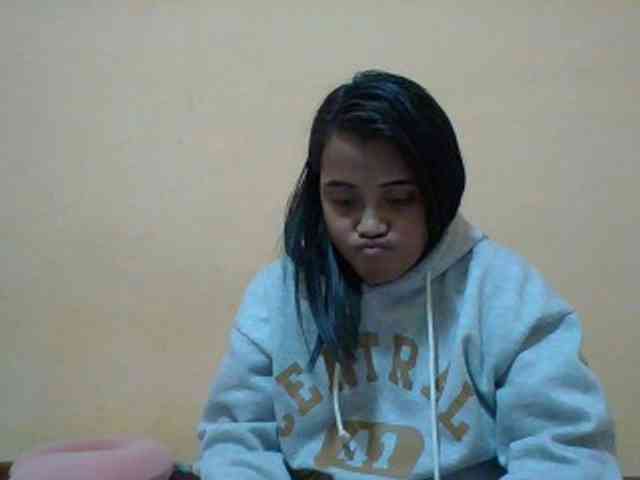 SunsetMonica webcam