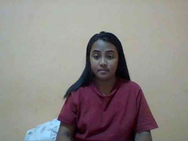 SunsetMonica webcam