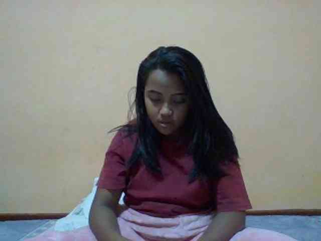 SunsetMonica webcam