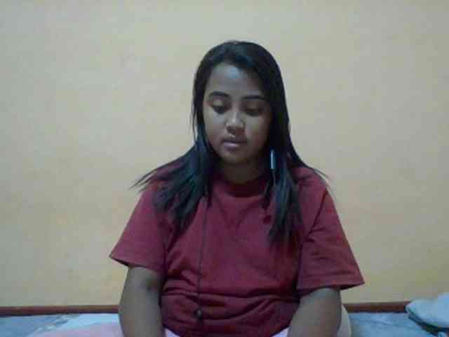 SunsetMonica webcam