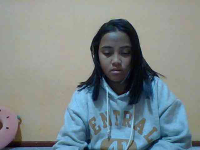 SunsetMonica webcam