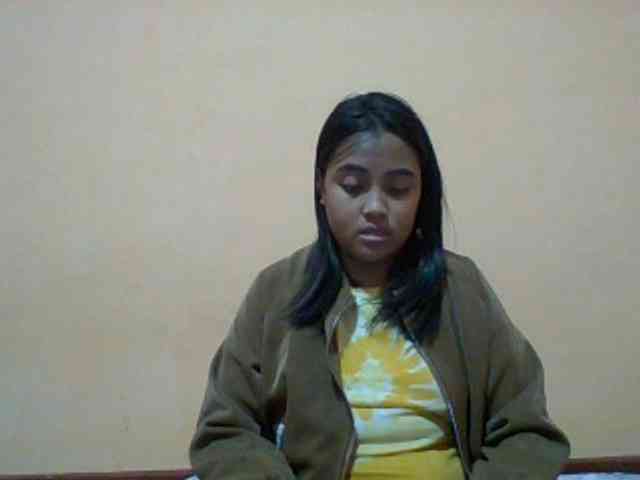 SunsetMonica webcam
