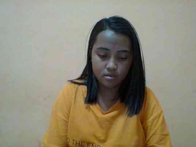 SunsetMonica webcam