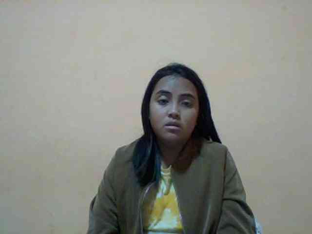 SunsetMonica webcam