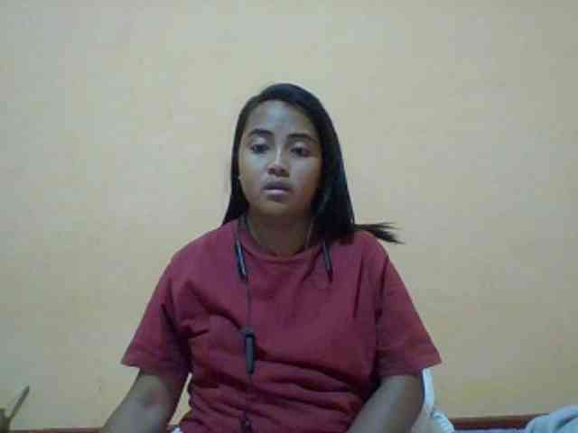 SunsetMonica webcam