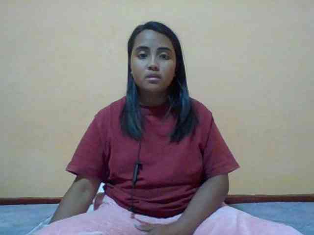 SunsetMonica webcam