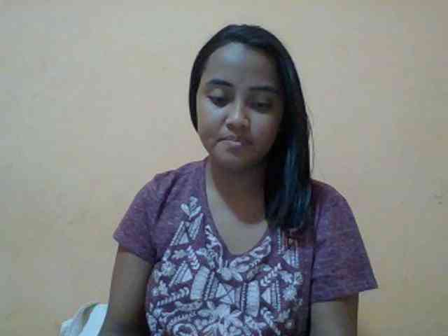 SunsetMonica webcam