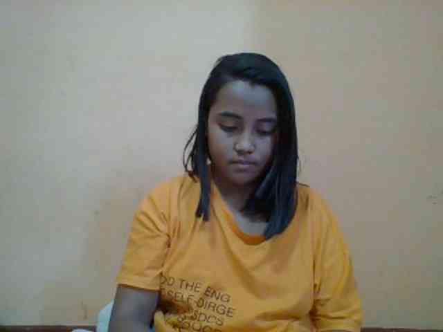 SunsetMonica webcam