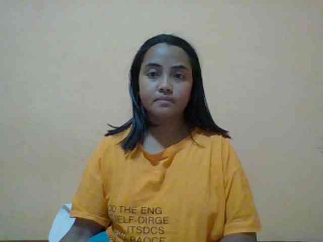 SunsetMonica webcam
