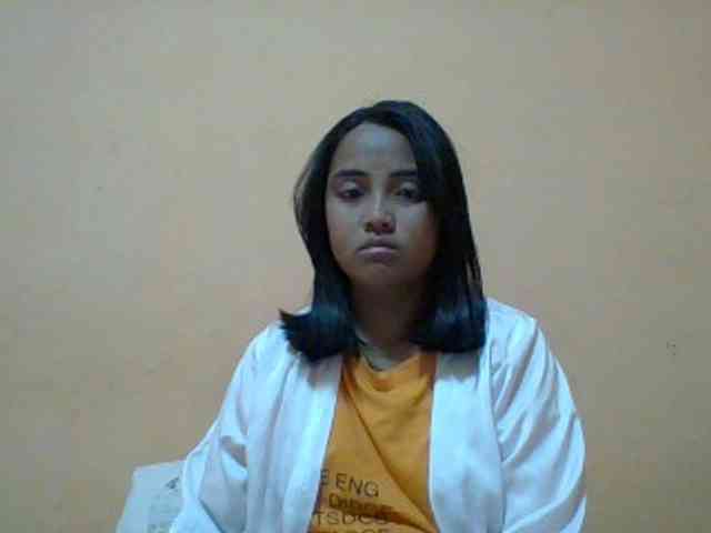 SunsetMonica webcam
