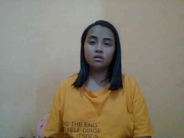 SunsetMonica webcam