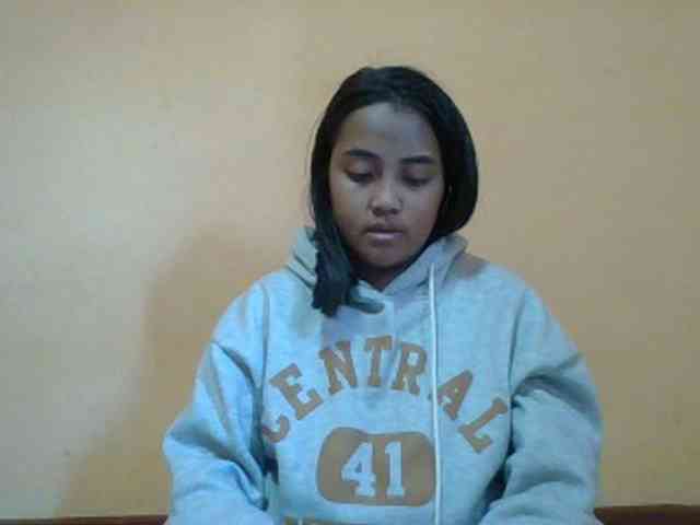 SunsetMonica webcam