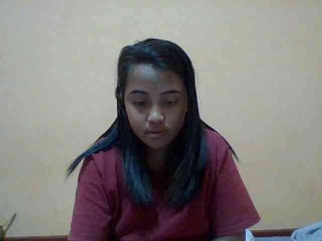 SunsetMonica webcam