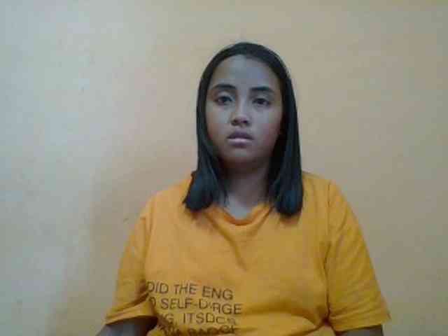 SunsetMonica webcam