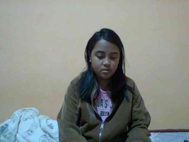 SunsetMonica webcam