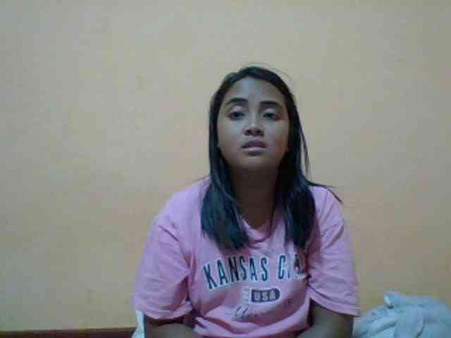 SunsetMonica webcam