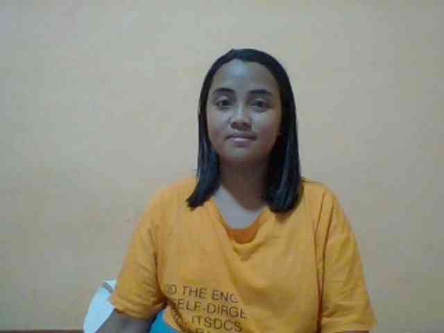 SunsetMonica webcam