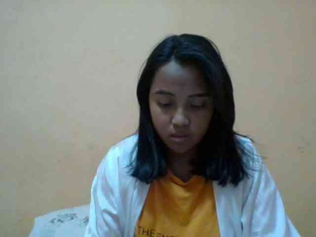 SunsetMonica webcam