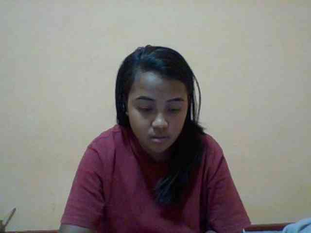SunsetMonica webcam
