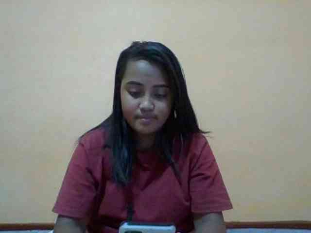 SunsetMonica webcam