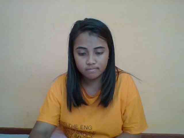 SunsetMonica webcam
